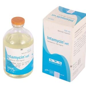 Intamycin vet injection (Gentamicin) 100mg