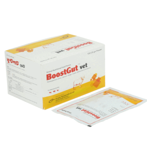 BoostGut Vet Powder (Ginger) 25mg